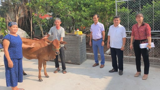 Hưng Hà lan tỏa tín dụng chính sách giúp dân thoát nghèo