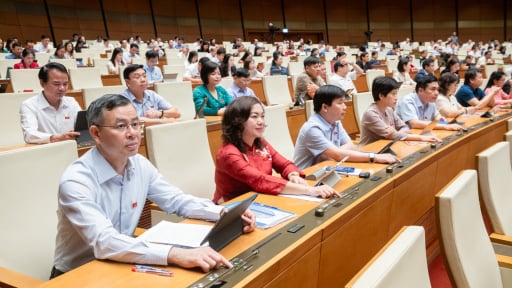 Tại sao không đưa chính sách hỗ trợ đối với cán bộ bị ảnh hưởng do sắp xếp bộ máy vào Luật Việc làm?