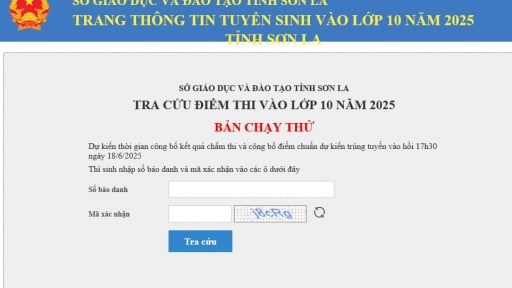 Tra cứu điểm thi vào lớp 10 năm 2025 của Sơn La theo cách này nhanh nhất