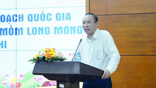 90% xã, phường, thị trấn không có bệnh Dịch tả lợn châu Phi, 580 cơ sở chăn nuôi lợn được chứng nhận an toàn dịch bệnh