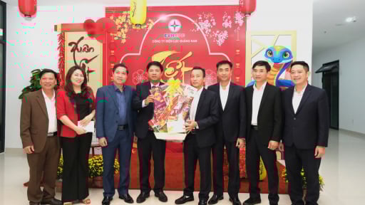 Đảng bộ Công ty Điện lực Quảng Nam: Mọi thành công từ sự đoàn kết  