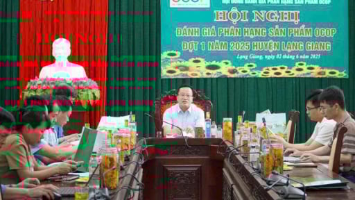 Một xã ở Bắc Giang có thêm 4 đặc sản đạt sao OCOP trước giờ sáp nhập 3 xã, thị trấn