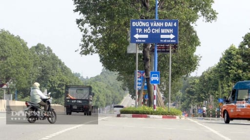 Bình Dương khởi công đường Vành đai 4 trị giá gần 12 nghìn tỷ đồng