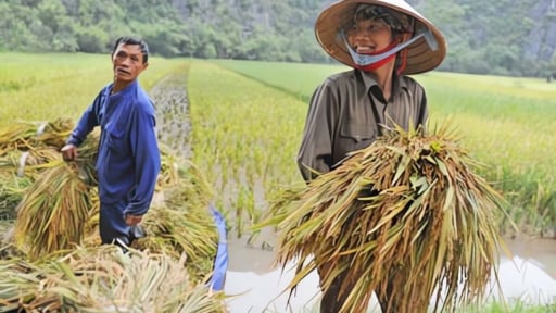 “Nông dân” - 'Tuyệt tác báo chí' bằng thơ (Bài 6) - 10 bài báo kinh điển về đề tài tam nông trong 40 năm Đổi mới