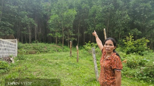 Sau phản ảnh của báo Dân Việt, Bộ đội công binh Quảng Bình xử lý đá sạt lở uy hiếp dân