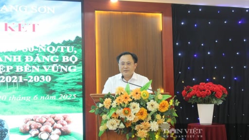 Lâm nghiệp Lạng Sơn tới mục tiêu doanh thu 7.100 tỷ đồng