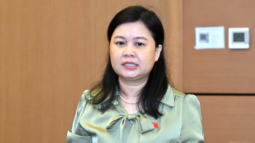 'Hệ thống pháp luật như 'rừng rậm nhiệt đới' gây khó khăn cho cơ quan quản lý và người dân, doanh nghiệp'