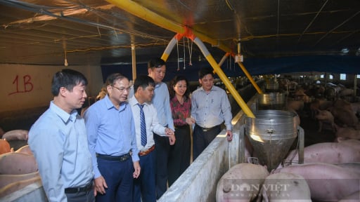Báo chí tam nông cần gần nông dân, thấu hiểu và đồng hành với nông dân