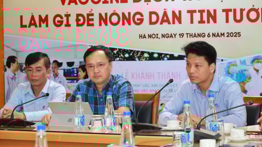 Tiếp tục hoàn thiện vaccine Dịch tả lợn châu Phi, hướng đến mục tiêu tạo miễn dịch toàn đàn