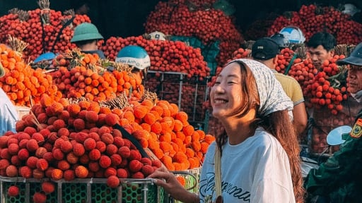 Tỉnh Bắc Ninh mới 'chìm' trong sắc đỏ rực, trở thành thánh địa check-in hot nhất mùa hè miền Bắc