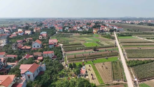 
Cấp xã có thể được ra quyết định cưỡng chế thu hồi đất theo đề xuất mới của Hà Nội