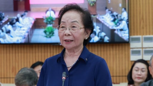 Nguyên Phó Chủ tịch nước Nguyễn Thị Doan: Xử lý quyết liệt hàng giả nhưng tránh tình trạng 'đốt cả ván'