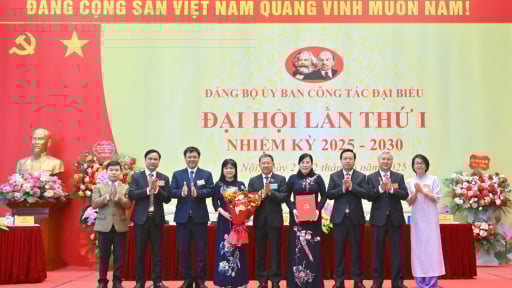 Bà Nguyễn Thanh Hải được chỉ định chức Bí thư Đảng ủy tại Đại hội Đảng bộ Ủy ban Công tác đại biểu lần thứ nhất