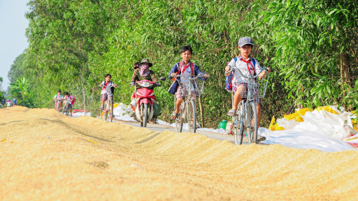 Tỉnh Long An phát triển gần 64.000ha diện tích lúa ứng dụng công nghệ cao