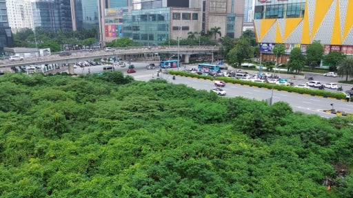 Dự án tháp tài chính quốc tế gần 4.000 tỷ đồng thành “rừng hoang” giữa lòng Thủ đô