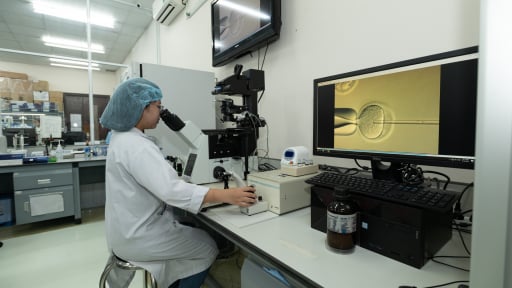 Đại học Quốc gia TP.HCM đón 13 giáo sư quốc tế trong lĩnh vực AI, chip bán dẫn