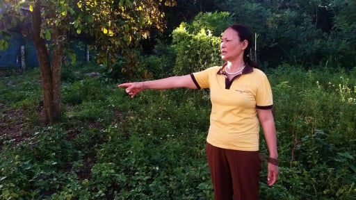 Giấc mơ chia đất cho con và thông báo thuế 4,5 tỷ đồng: Nỗi niềm của người dân Nghệ An trước 'cơn lốc' giá đất mới