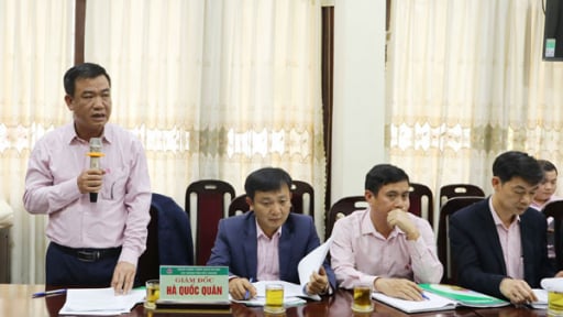Kinh nghiệm từ Giám đốc Ngân hàng CSXH tỉnh Bắc Giang: Tín dụng chính sách, chìa khóa giảm nghèo hiệu quả