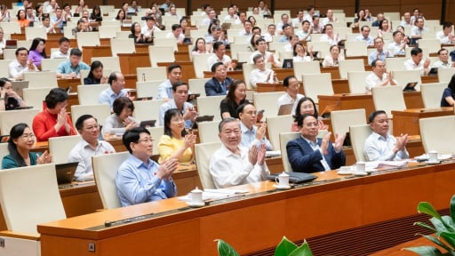 Chủ tịch nước, Thủ tướng Chính phủ có quyền yêu cầu tổ chức kỳ họp Quốc hội không thường lệ