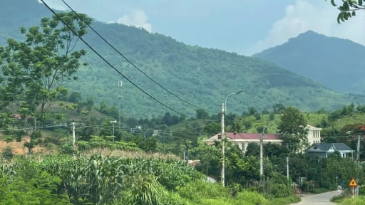 Người dân có được tự ý mở đường, xây nhà trên đất rừng sản xuất?