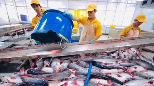 Mỹ công bố chính thức mức thuế chống bán phá giá cá tra của Việt Nam, kết quả ra sao?