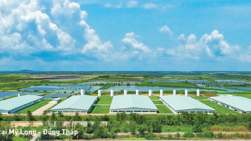 Tập đoàn Mavin công bố Báo cáo Phát triển bền vững năm 2024: Khẳng định cam kết phát triển xanh, minh bạch và có trách nhiệm