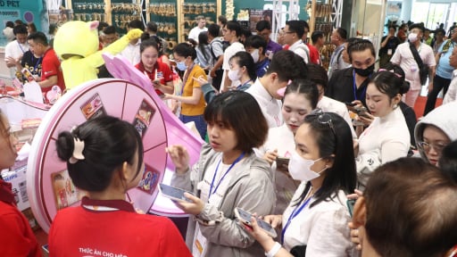 Chi tiền triệu mua thức ăn, quần áo cho chó mèo: Giới trẻ Sài Gòn nuôi thú cưng như nuôi con