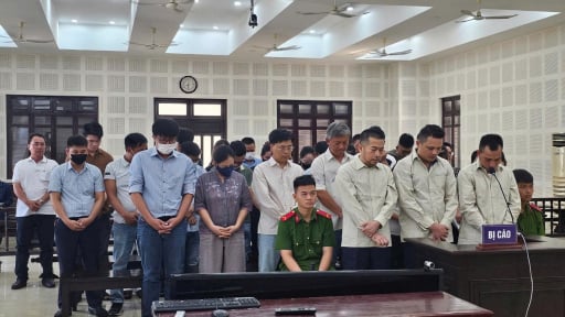 Trốn thuế, gây thất thu ngân sách Nhà nước hơn 170 tỷ đồng, hàng chục bị cáo lãnh án