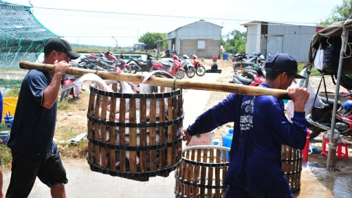 Làn gió mới cho tín dụng tam nông