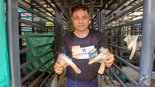 Một xã nông thôn mới có mô hình hay nuôi con động vật hoang dã trước thời khắc Quảng Nam 'chung nhà' với Đà Nẵng
