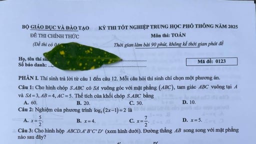 Đề thi môn Toán tốt nghiệp THPT 2025 mã đề 123 có gợi ý đáp án