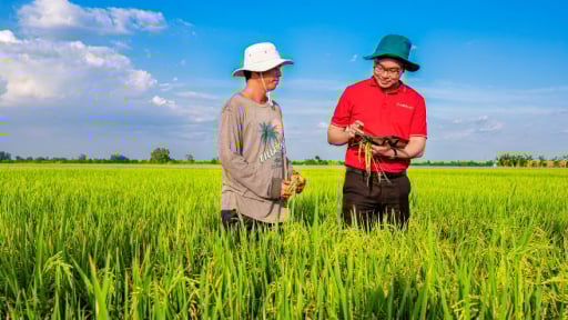 Agribank - Vững thế chủ lực đối với “trụ đỡ” nền kinh tế