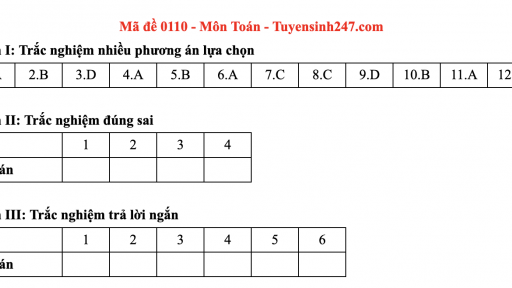 Đáp án môn Toán mã đề 110 thi tốt nghiệp THPT 2025 chương trình mới