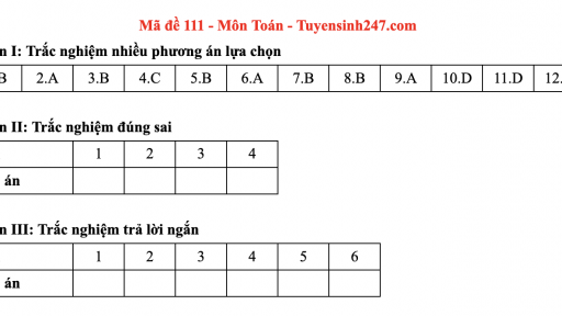 Đề thi môn Toán tốt nghiệp THPT 2025 mã đề 111 có gợi ý đáp án