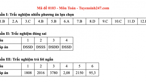 Đáp án môn Toán mã đề 103 thi tốt nghiệp THPT 2025 theo chương trình mới 