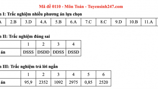 Đáp án môn Toán mã đề 110 thi tốt nghiệp THPT 2025 chương trình mới