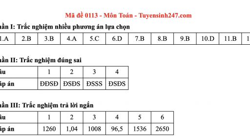 Đáp án môn Toán mã đề 113 thi tốt nghiệp THPT 2025 chương trình mới