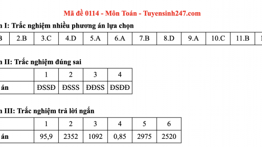 Đáp án môn Toán mã đề 114 thi tốt nghiệp THPT 2025 chương trình mới