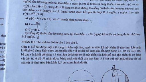 Đáp án môn Toán mã đề 107 thi tốt nghiệp THPT 2025 chương trình mới
