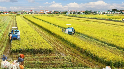 Miễn thuế đất nông nghiệp đến hết tháng 12/2030, hỗ trợ nông nghiệp, nông dân, nông thôn