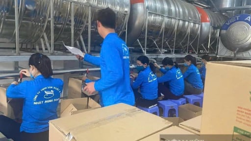 Đại biểu Quốc hội 'sửng sốt, bàng hoàng' trước vụ dầu ăn dùng cho chăn nuôi được “hô biến” thành dầu ăn cho người