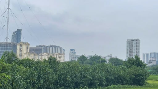 Làm sổ đỏ cho thửa đất nằm trên địa bàn nhiều phường, xã: Trường hợp nào được cấp chung một sổ đỏ?