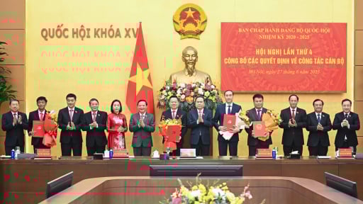 4 cán bộ lãnh đạo thôi chức Bí thư, Phó Bí thư Thường trực Tỉnh ủy để nhận chức trách mới tại Quốc hội