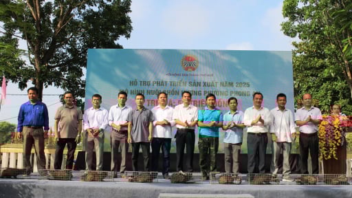 Hơn 45.000 hội viên nông dân ở Huế đăng ký đạt danh hiệu sản xuất kinh doanh giỏi 