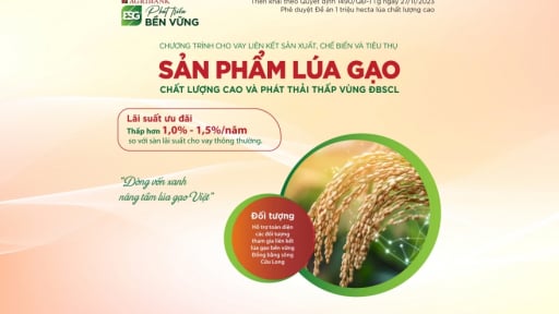 Agribank rót vốn ưu đãi cho 1 triệu ha lúa ĐBSCL