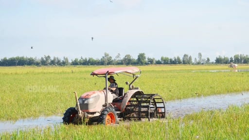 Kiên Giang, tỉnh có diện tích lúa lớn nhất cả nước bắt đầu xuống giống vụ mới từ 1/7, khi chính thức vận hành tỉnh mới An Giang