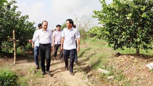 Hội Nông dân khẳng định vai trò nòng cốt xây dựng nông thôn mới: Hàng trăm nghìn hộ thoát nghèo, số hộ thu nhập tiền tỷ tăng gấp đôi