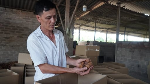 Sau phản ánh của Dân Việt về việc tiểu thương Bắc Giang vất vả hoàn thiện thủ tục thuế, Phó Chủ tịch UBND tỉnh Bắc Giang có chỉ đạo khẩn