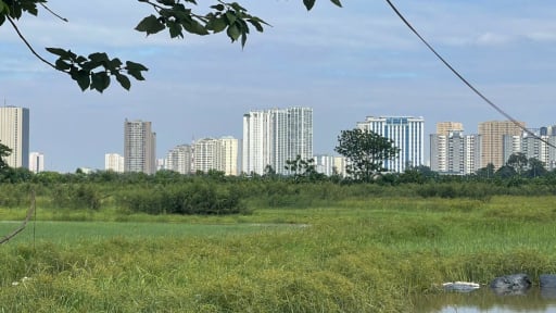Các trường hợp người dân cần đổi sổ đỏ từ ngày 1/7/2025