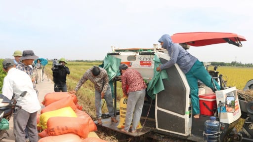 Ngay trong ngày đầu tiên đi vào vận hành sau sáp nhập với Hải Dương, TP.Hải Phòng mới sẽ mở cuộc tổng điều tra quy mô lớn về nông nghiệp, nông thôn